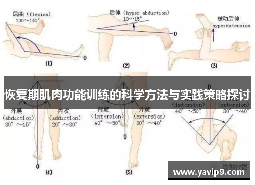 恢复期肌肉功能训练的科学方法与实践策略探讨